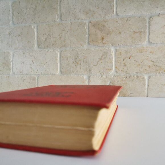 1930 Wayward Book Farnham Movie Title Wild Beauty Pre-Code Paramount Red Book - Picture 5 of 11